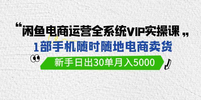 (9547期)闲鱼电商运营全系统VIP实战课，1部手机随时随地卖货，新手日出30单月入5000-Zv头条
