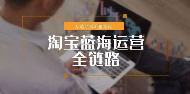 淘宝蓝海运营全链路，从选品到流量变现，小类目突围完整方案-Zv头条