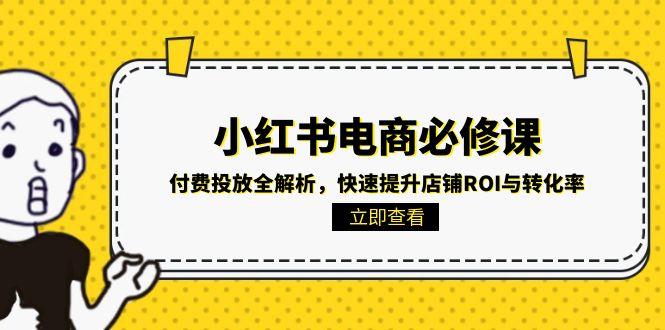 小红书电商必修课：付费投放全解析，快速提升店铺ROI与转化率-Zv头条