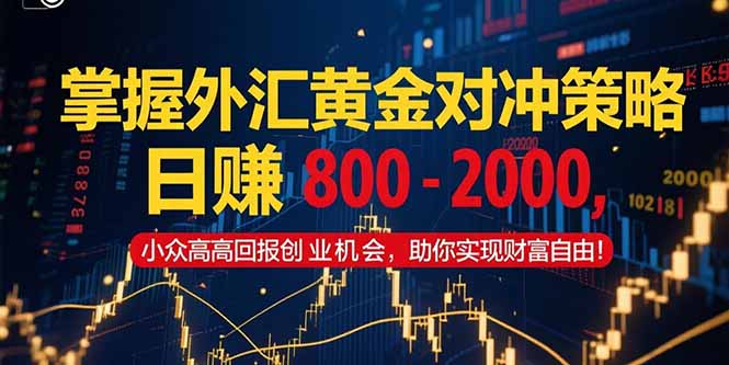 掌握外汇黄金对冲策略，日赚 800 - 2000，小众高回报创业机会，助你实...-Zv头条