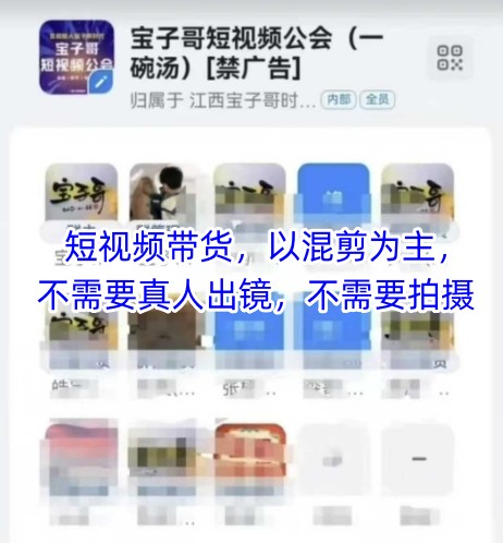 宝子哥头部团队短视频带货，以混剪为主，不需要真人出镜，不需要拍摄【更新6月】-Zv头条