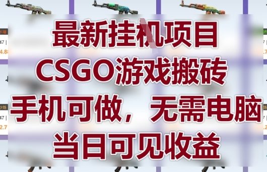 最新挂G项目，CSGO游戏搬砖，手机可做，无需电脑，当日见收益【揭秘】-Zv头条
