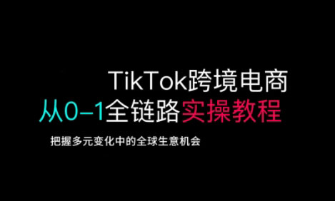 TikTok电商运营从基础到高阶全方位实操-Zv头条
